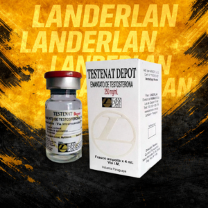 TESTENAT ENANTATO LANDERLAN 250 MG 4ML