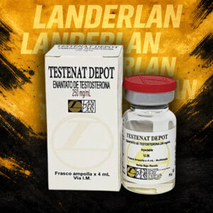 TESTENAT DEPOT ENANTATO 4ML